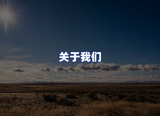 专业团队